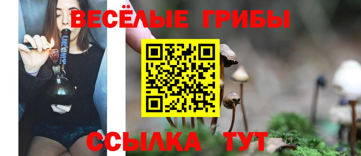 сколько стоит  Вход с VPN  Копейск  Галлюциногенные грибы Cubensis  Псилоцибиновые грибы MAGIC MUSHROOMS 